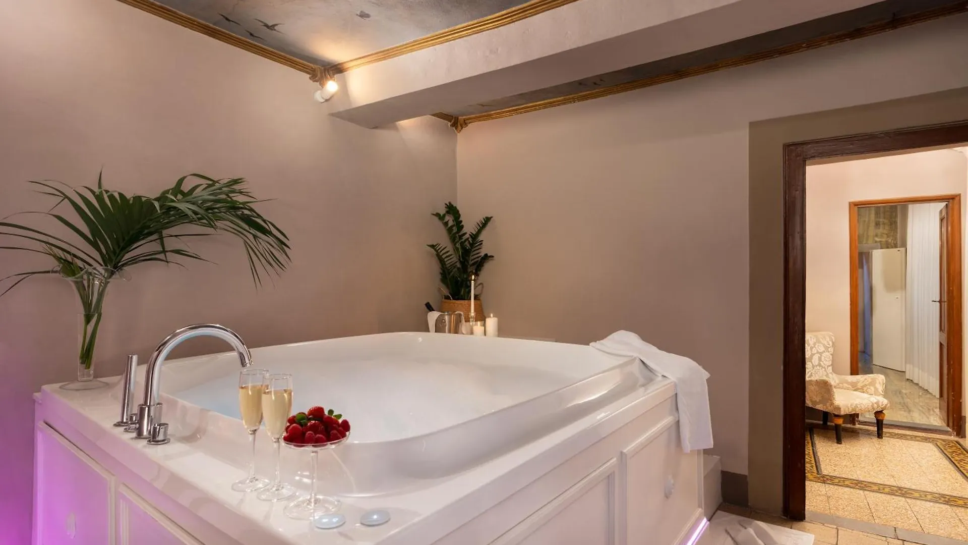Bed & Breakfast Piazza Pitti Palace - Residenza D'Epoca Florence